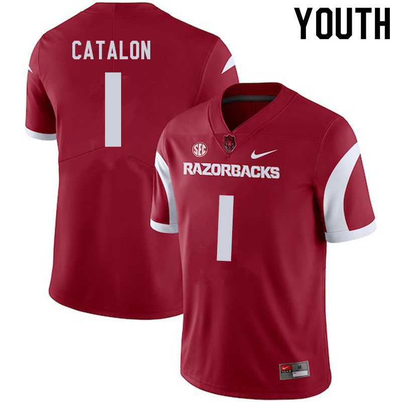Youth #1 Jalen Catalon Arkansas Razorbacks College Football Jerseys Sale-Cardinal